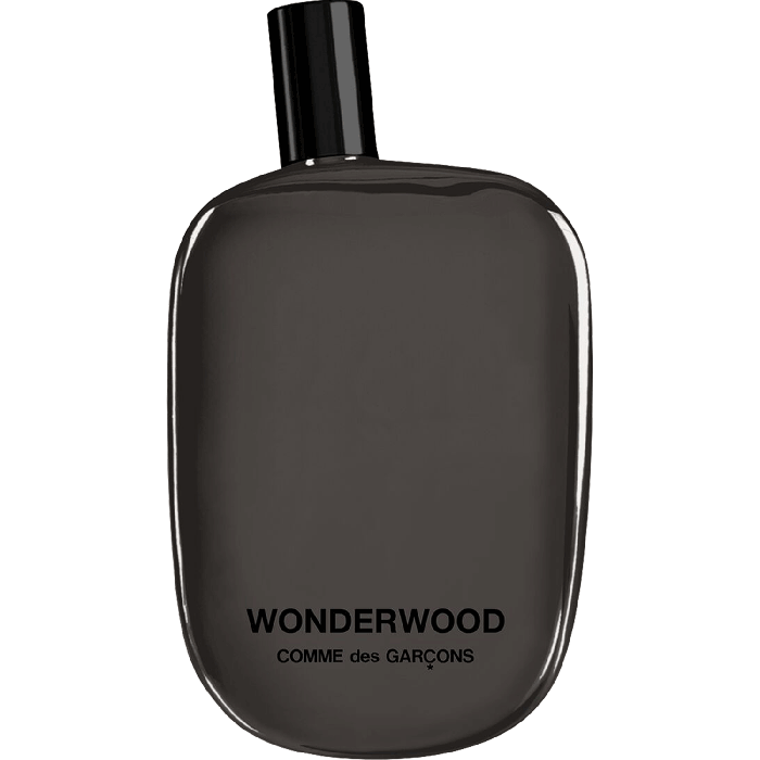 Comme des Garçons Wonderwood EDP - 100ML