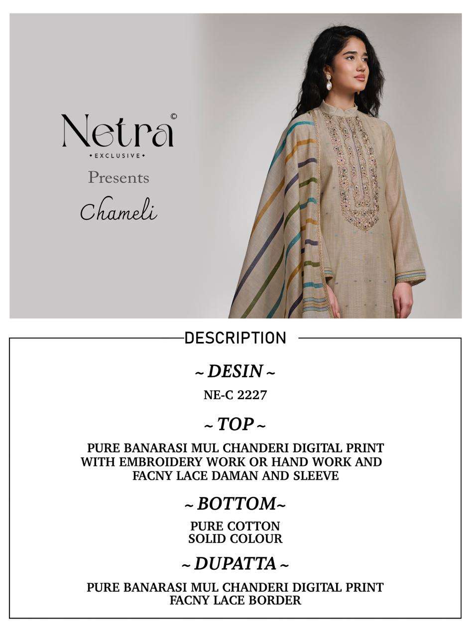 Netra Chameli Premium Banarasi Suit