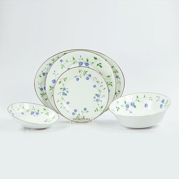 Blue Rose 21 Pieces Dinner Set